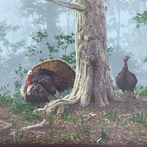 Wild Turkey Border Vintage Wallpaper